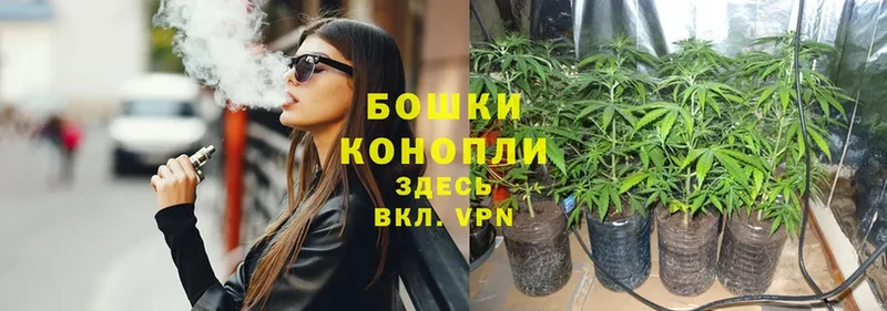 кракен как войти  Кизилюрт  Бошки марихуана SATIVA & INDICA 